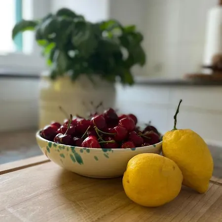 Vendégház Borganthia Alberobello