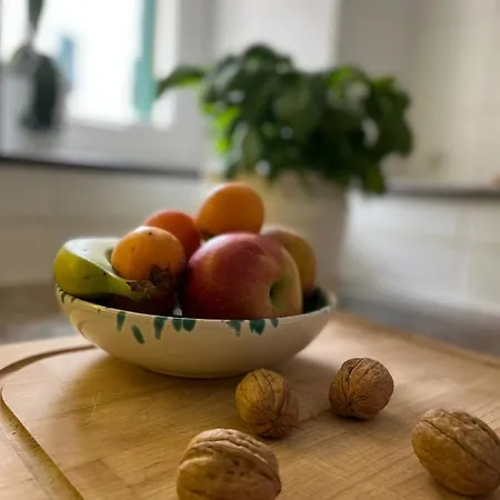 Vendégház Borganthia 4*