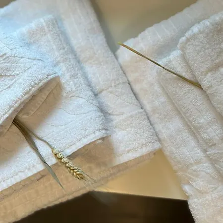 בית הארחה Borganthia 4*