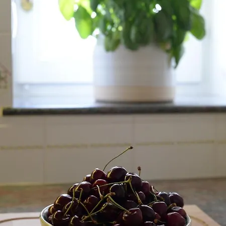 Borganthia בית הארחה