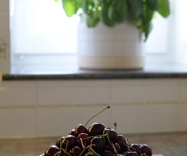 Borganthia Maison d'hôtes